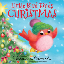Little Bird Finds Christmas