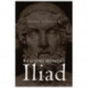 Reading Homer's Iliad