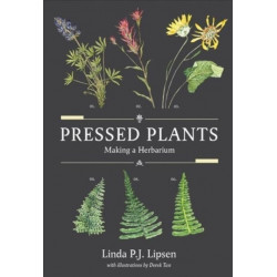 Pressed Plants: Making a Herbarium