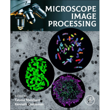 Microscope Image Processing