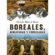 Boreales, miniaturas y porcelanas