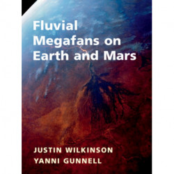 Fluvial Megafans on Earth and Mars