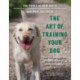 The Art of Training Your Dog: How to Gently Teach Good Behavior Using an E-Collar