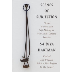 Scenes of Subjection - Terror, Slavery, and Self-Making in Nineteenth-Century America