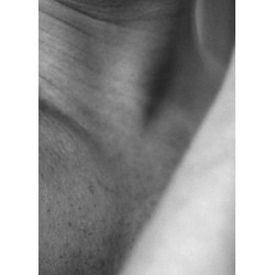 Ardelle Schneider: Butterflies and Caterpillars