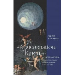 Reincarnation and Karma, An Introduction: The meaning of existence - from pre-birth plans to one's task in life