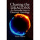 Chasing the Dragons: An Introduction to Draconic Astrology: How to find your soul purpose in the horoscope
