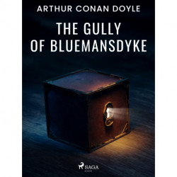 The Gully of Bluemansdyke