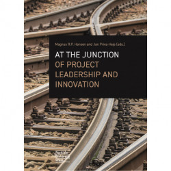At the junction of project leadership and innovation