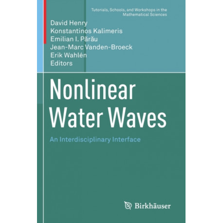 Nonlinear Water Waves: An Interdisciplinary Interface