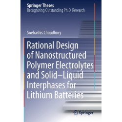 Rational Design of Nanostructured Polymer Electrolytes and Solid–Liquid Interphases for Lithium Batteries