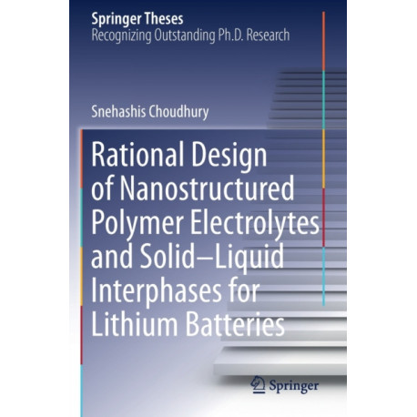 Rational Design of Nanostructured Polymer Electrolytes and Solid–Liquid Interphases for Lithium Batteries