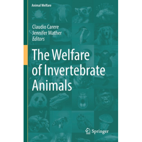 The Welfare of Invertebrate Animals