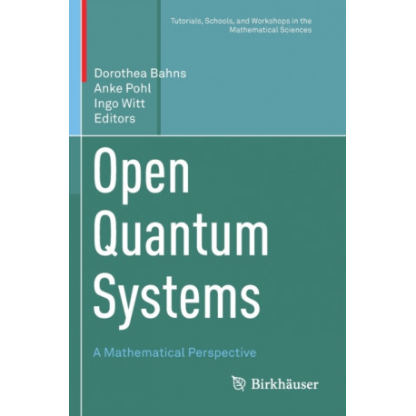 Open Quantum Systems: A Mathematical Perspective