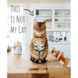 This is not my cat: Feline friends who picked their humans