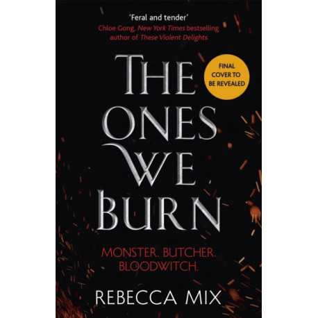 The Ones We Burn: the New York Times bestselling dark epic young adult fantasy