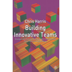 Building Innovative Teams
