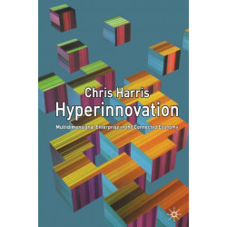 Hyperinnovation: Multidimensional Enterprise in the Connected Economy