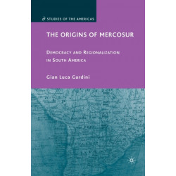 The Origins of Mercosur: Democracy and Regionalization in South America