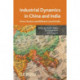 Industrial Dynamics in China and India: Firms, Clusters, and Different Growth Paths