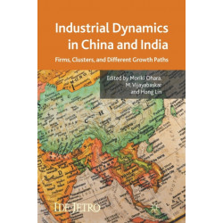 Industrial Dynamics in China and India: Firms, Clusters, and Different Growth Paths