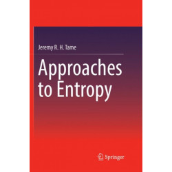 Approaches to Entropy