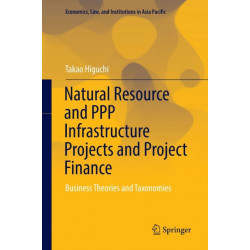 Natural Resource and PPP Infrastructure Projects and Project Finance: Business Theories and Taxonomies