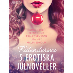 Kalendersex - 5 erotiska julnoveller