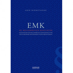 EMK og mellomprivate konflikter : Statsansvar for mellomprivate konflikter etter Den europeiske menneskerettighetskonven: statsansvar for mellomprivate konflikter etter Den europeiske menneskerettighetskonvensjonen