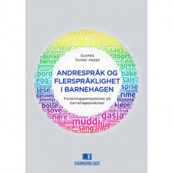 Andrespråk og flerspråklighet i barnehagen : forskningsperspektiver på barnehagepraksiser: forskningsperspektiver på barnehagepraksiser