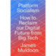 Platform Socialism: How to Reclaim our Digital Future from Big Tech