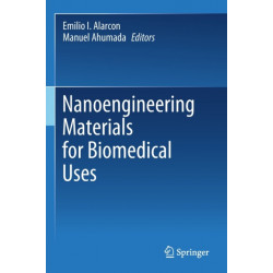 Nanoengineering Materials for Biomedical Uses