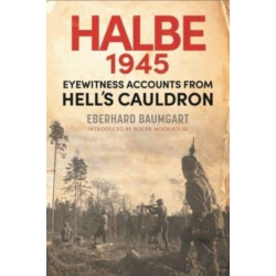 The Battle of Halbe, 1945: Eyewitness Accounts from Hell's Cauldron