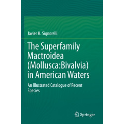 The Superfamily Mactroidea (Mollusca:Bivalvia) in American Waters: An Illustrated Catalogue of Recent Species
