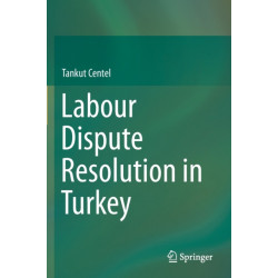Labour Dispute Resolution in Turkey