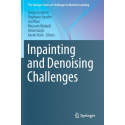 Inpainting and Denoising Challenges