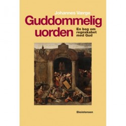 Guddommelig uorden: En bog om regnskabet med Gud