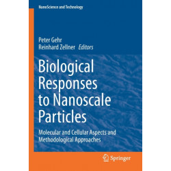 Biological Responses to Nanoscale Particles: Molecular and Cellular Aspects and Methodological Approaches