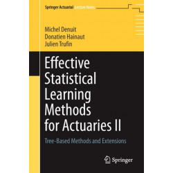Effective Statistical Learning Methods for Actuaries II: Tree-Based Methods and Extensions