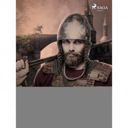 De vernuftige jonkheer Don Quijote van de Mancha