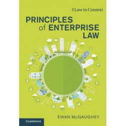 Principles of Enterprise Law: The Economic Constitution and Human Rights
