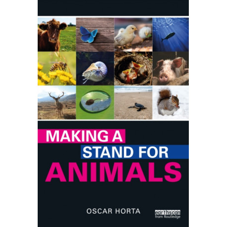 Making a Stand for Animals
