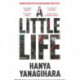 A Little Life