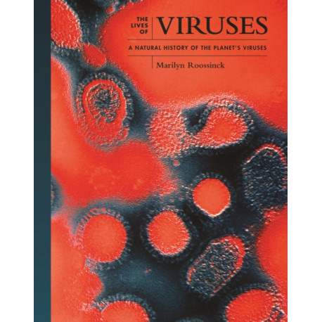 Viruses: A Natural History
