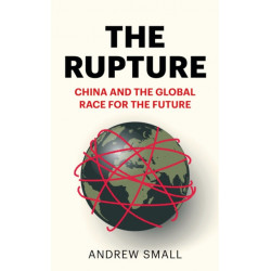 The Rupture: China and the Global Race for the Future