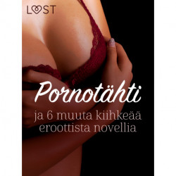 Pornotähti ja 6 muuta kiihkeää eroottista novellia