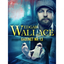 Gabinet nr 13