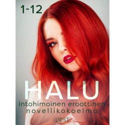Halu 1-12: Intohimoinen eroottinen novellikokoelma