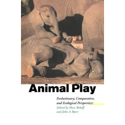 Animal Play: Evolutionary, Comparative and Ecological Perspectives