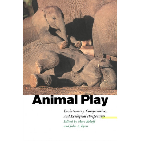Animal Play: Evolutionary, Comparative and Ecological Perspectives